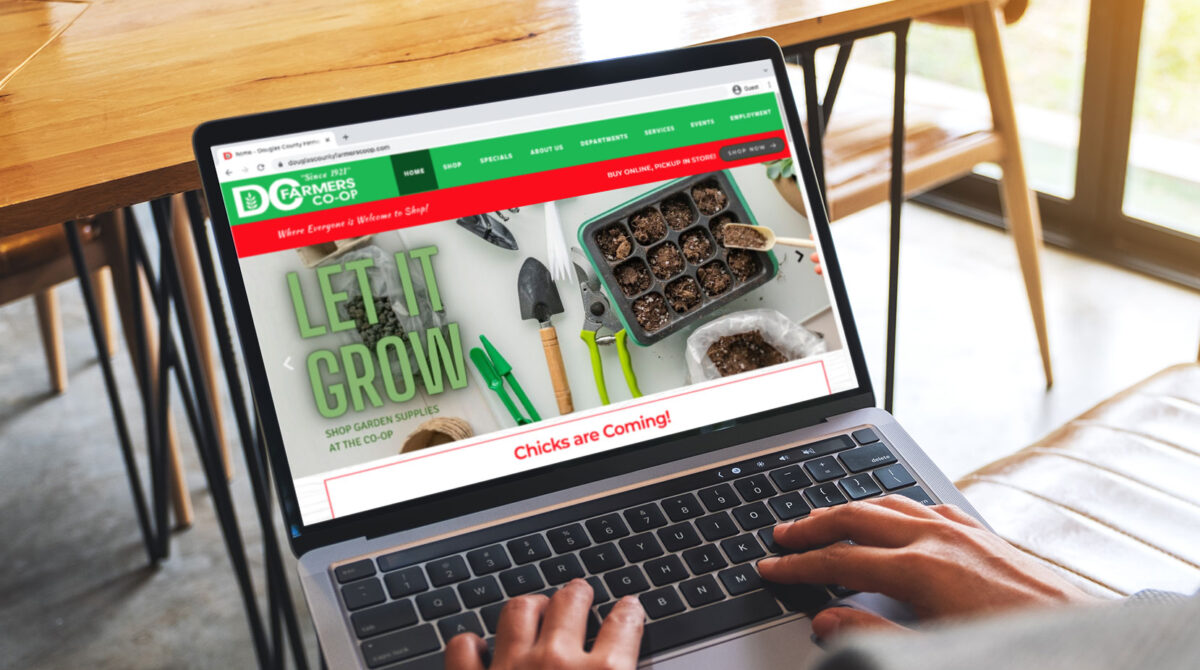 iNet Site Builders - DC Farmers Case Study